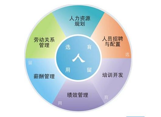 青岛人力资源服务